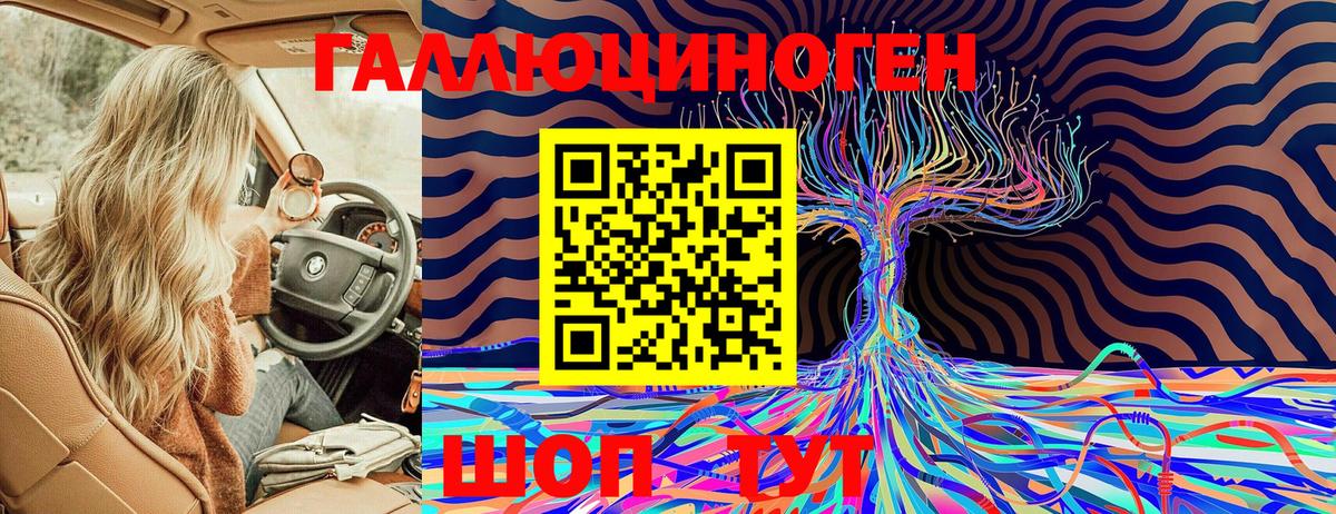 Псилоцибиновые грибы MAGIC MUSHROOMS  Вход с VPN  Волгодонск 